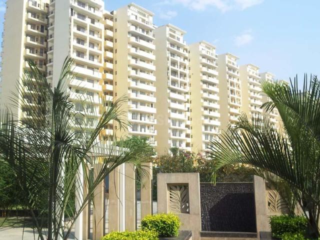 3 BHK Apartment in Sector 81 for resale Gurgaon. The reference number is 20562029