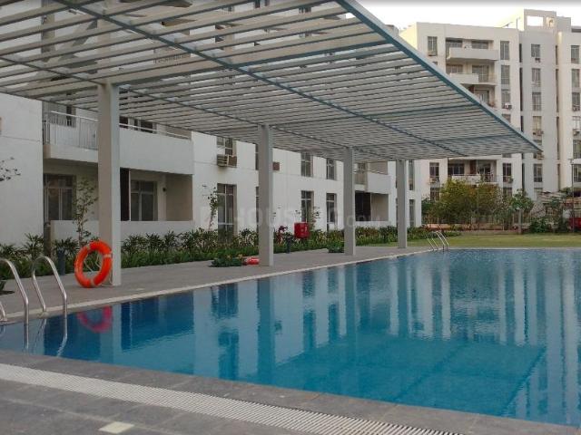 3 BHK Apartment in Sector 83 for rent Gurgaon. The reference number is 20616004