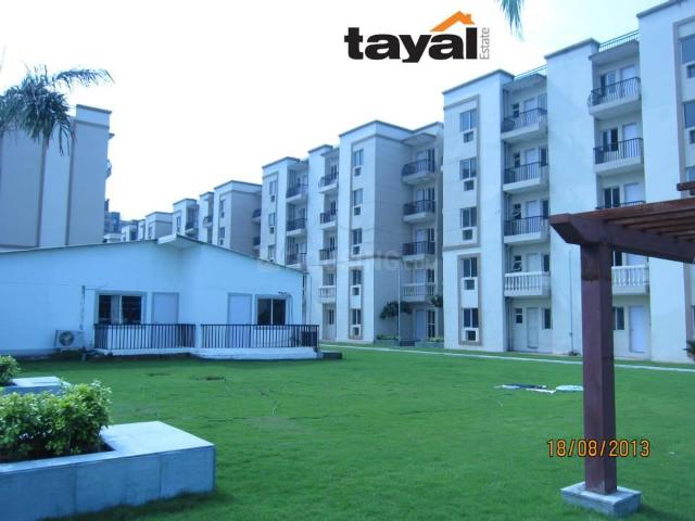3 BHK Apartment in Sector 92 for resale Gurgaon. The reference number is 20936442