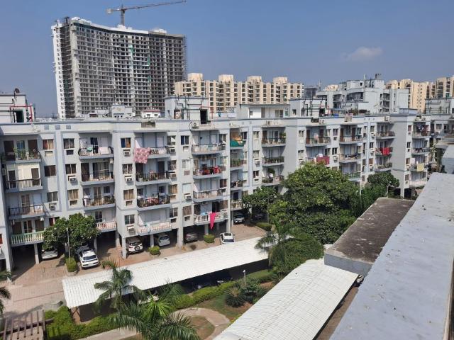 3 BHK Apartment in Sector 92 for resale Gurgaon. The reference number is 21251654
