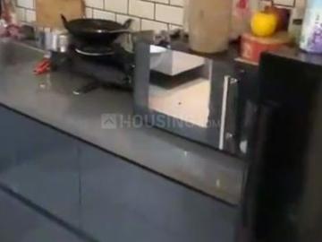 Wazirpur Delhi, New Delhi, Delhi - Garden