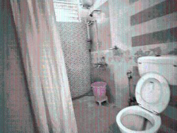 3 BHK Apartment in Shilpa Hills for rent Hyderabad. The reference number is 19906902