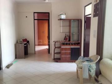 3 BHK Apartment in Sushant Lok Phase 1 for rent Gurgaon. The reference number is 9552747