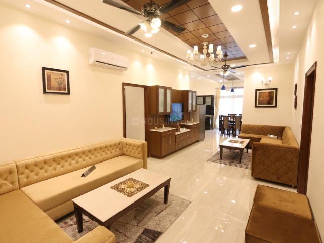 3 BHK Apartment in Pholriwal for rent Jalandhar. The reference number is 20046250
