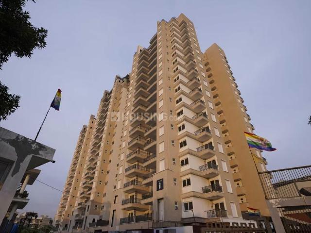 3 BHK Apartment in PR7 Airport Road for rent Zirakpur. The reference number is 21036278