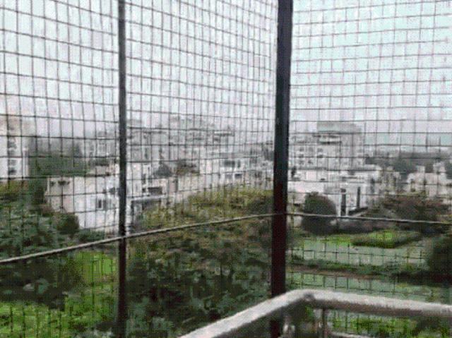 3 BHK Apartment in Pulla Bhuwana for rent Udaipur. The reference number is 20722897