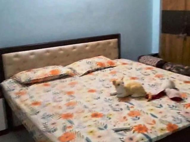 3 BHK Apartment in Pundag for rent Ranchi. The reference number is 20869038