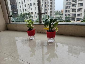 DLF, Silk Board Flyover, East Bangalore, Bangalore, Bangalore District, Tamil Nadu