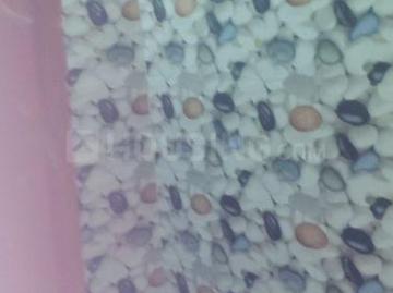 3 BHK Apartment in Wazirabad for resale New Delhi. The reference number is 5710368
