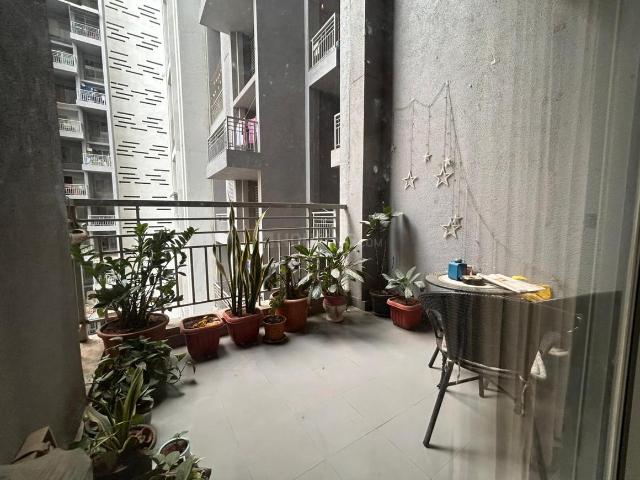 3 BHK Apartment in Wadgaon Sheri for rent Pune. The reference number is 20483586