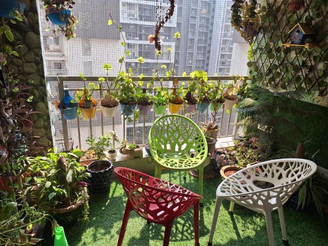 3 BHK Apartment in Wadgaon Sheri for rent Pune. The reference number is 20637297