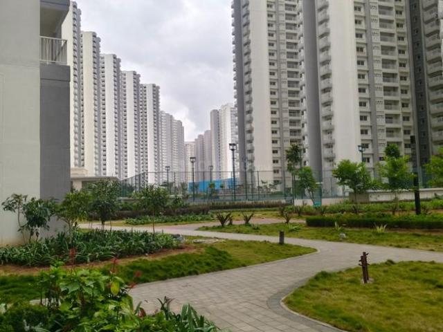 3 BHK Apartment in V. Kallahalli for rent Bengaluru. The reference number is 20857795