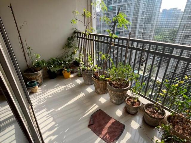 3 BHK Apartment in Vaishno Devi Circle for rent Ahmedabad. The reference number is 21023758