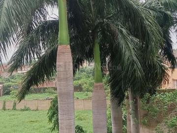 Jamshedpur, Purbi Singhbhum District, Jharkhand