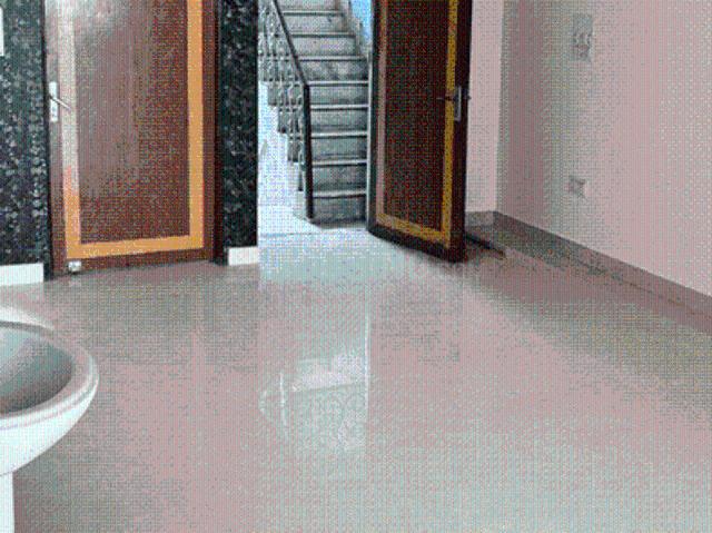 3 BHK Duplex in Shahdara for resale New Delhi. The reference number is 20805944