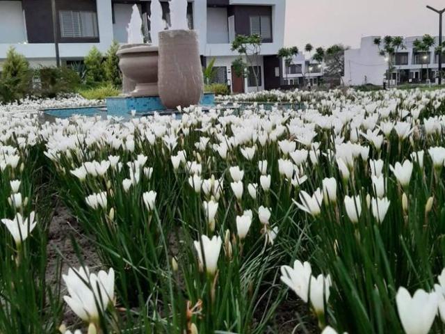3 BHK Duplex in Talawali Chanda for resale Indore. The reference number is 19901106