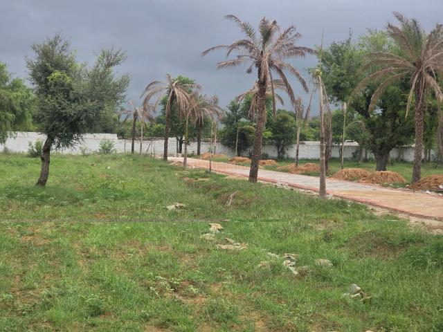 3 BHK Farm House in Kalwad Road for resale Jaipur. The reference number is 20982411