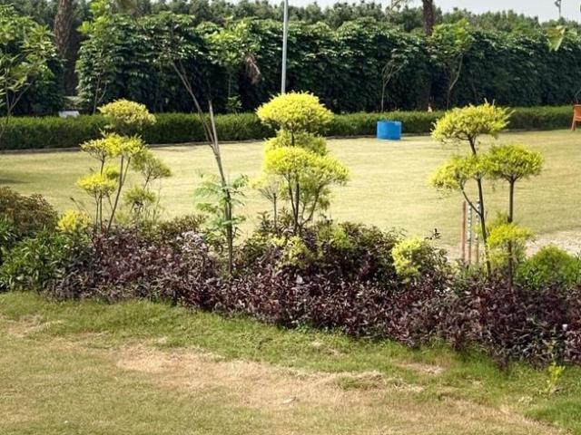 3 BHK Farm House in Sikanderpur for resale Greater Noida. The reference number is 20833681