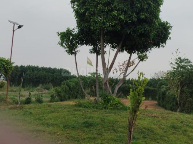 3 BHK Farm House in Sikanderpur for resale Greater Noida. The reference number is 20834461