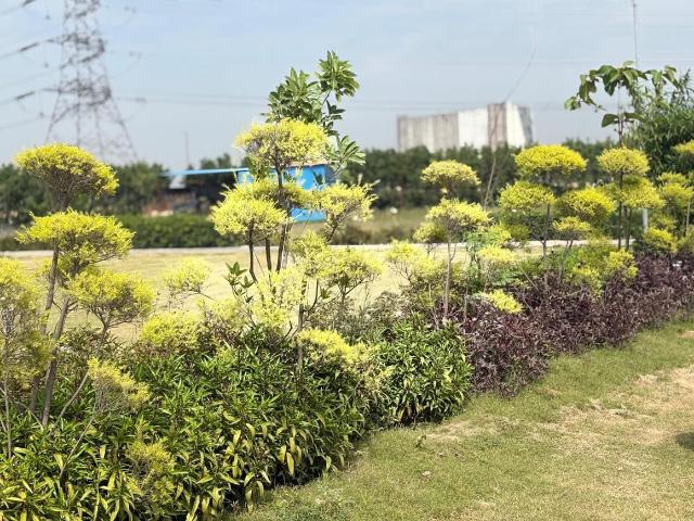 3 BHK Farm House in Sikanderpur for resale Greater Noida. The reference number is 20836415
