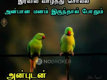 3 BHK Flat In Malar Flats for Rent In Medavakkam