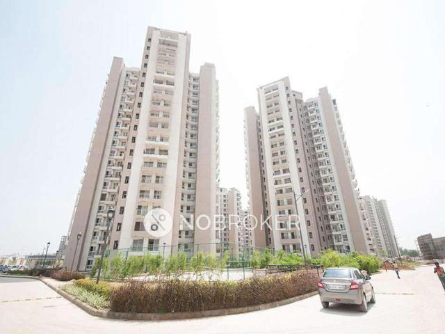 3 BHK Flat In Mapsko Royale Ville for Rent In Sector 82