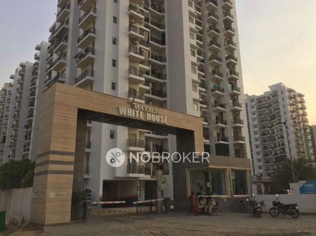 3 BHK Flat In Maxblis White House for Rent In Sector 75
