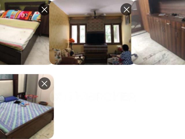 3 BHK Flat In Navsena Apartments for Rent In Pitampura