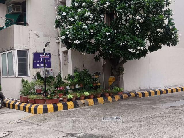 3 BHK Flat In Overseas Apartment for Rent In Sector 50