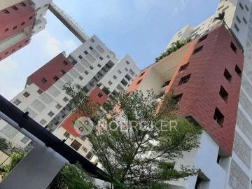 SRM College, Chennai, Chennai District, Tamil Nadu