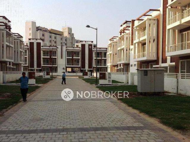 3 BHK Flat In Orchid Island for Rent In Sector 51