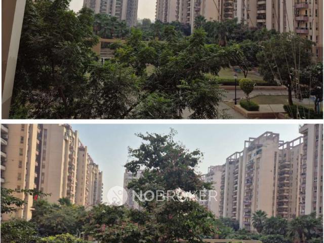 3 BHK Flat In Orchid Petals for Rent In Sector 49