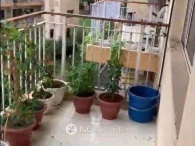 3 BHK Flat In Orris Carnation Residency for Rent In Sector 85