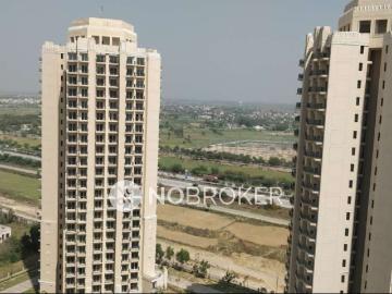 3 BHK Flat In Ats Allure for Rent In Sector 22d
