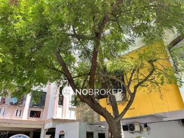 3 BHK Flat In Atulyam Amulyam Appartment for Rent In Hafeezpet