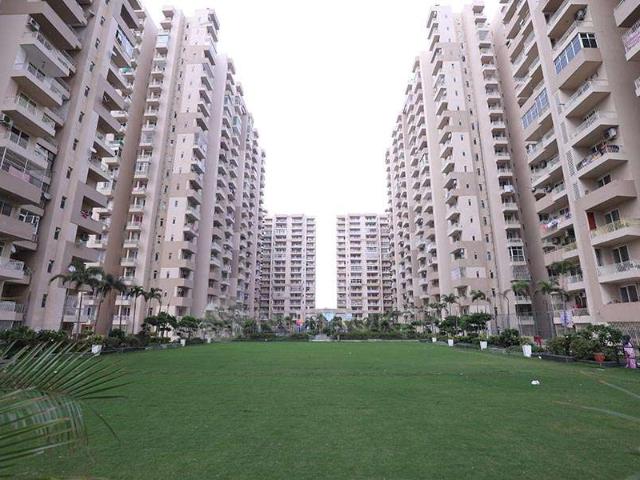 3 BHK Flat In Avj Platinum, Gn Sector Zeta I for Rent In Gn