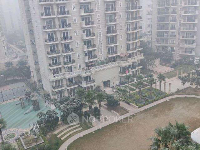 3 BHK Flat In Ace Golfshire for Rent In Sector 150