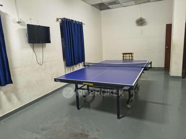 3 BHK Flat In Adarsh Palm Retreat for Rent In Bellandur