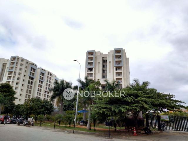 3 BHK Flat In Adarsh Palm Retreat for Rent In Bellandur