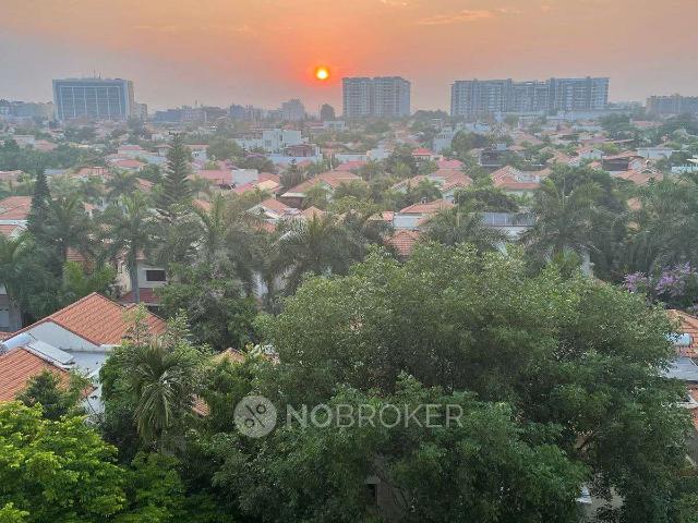 3 BHK Flat In Adarsh Palm Retreat for Rent In Bellandur