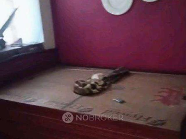 3 BHK Flat In Agresain Aagman Society for Rent In Sector 70