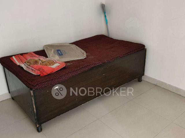 3 BHK Flat In Aims Golf Avenue 2 for Rent In Golf Avenue 2