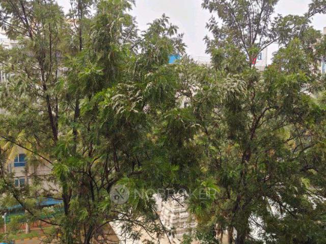 3 BHK Flat In Ambience Diva Apartments for Rent In Bellandur