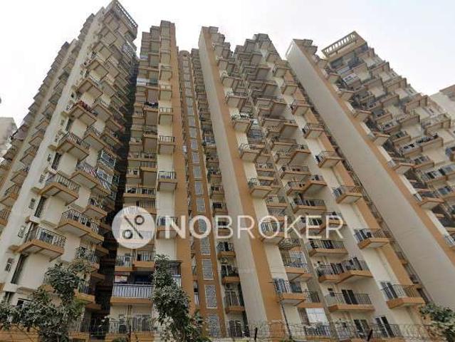3 BHK Flat In Amrapali Terrace Homes for Rent In Noida Extension, Greater Noida