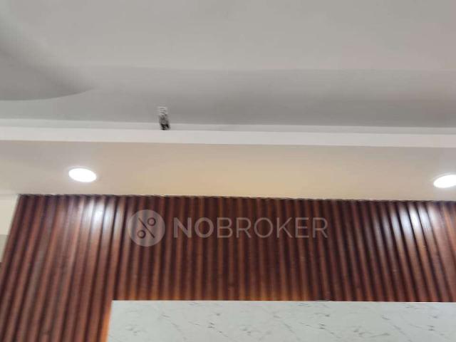 3 BHK Flat In Amrapali Terrace Homes, Noida Extension, Greater Noida for Rent In Noida Extension, Greater Noida