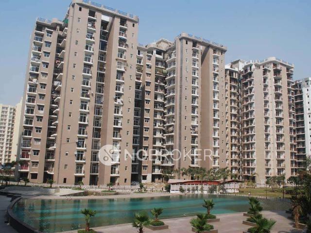 3 BHK Flat In Amrapali Zodiac for Rent In Sector 120