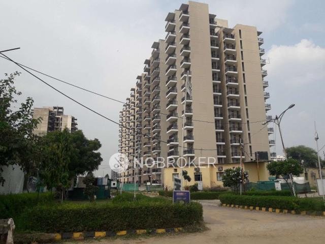 3 BHK Flat In Ansal The Fernhill For Sale In Sector 91