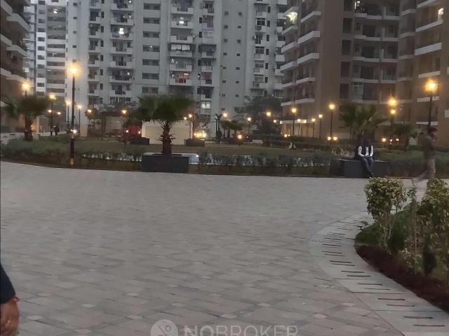 3 BHK Flat In Ap for Rent In Sector 76