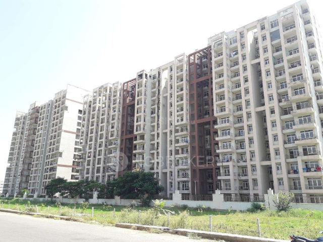 3 BHK Flat In Apartment for Rent In Sector 92