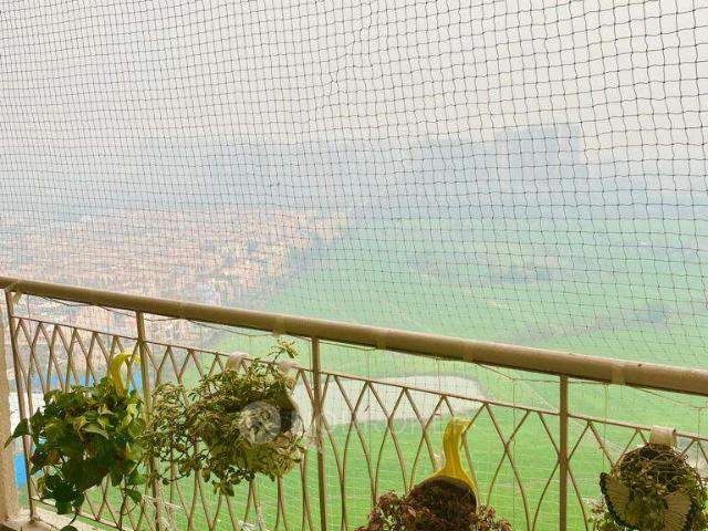 3 BHK Flat In Apex Golf Valley for Rent In Bisrakh Jalalpur